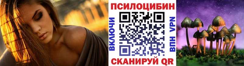 где найти Апшеронск блэк спрут как войти Галлюциногенные грибы мицелий